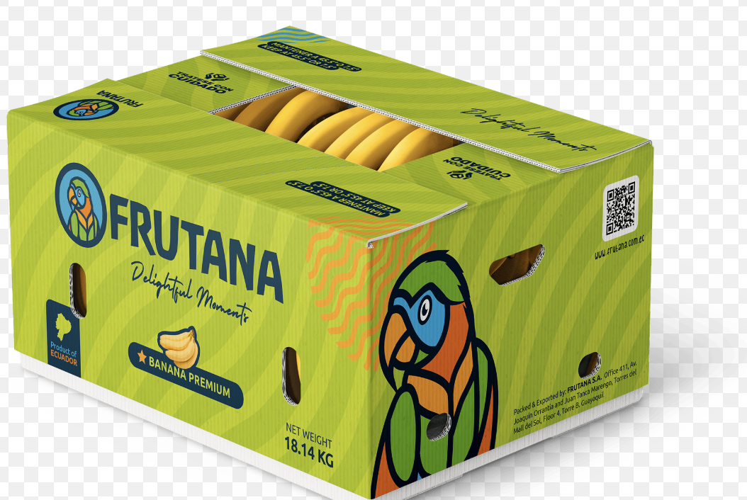 Banana Cavendish 22XU FRUTANA