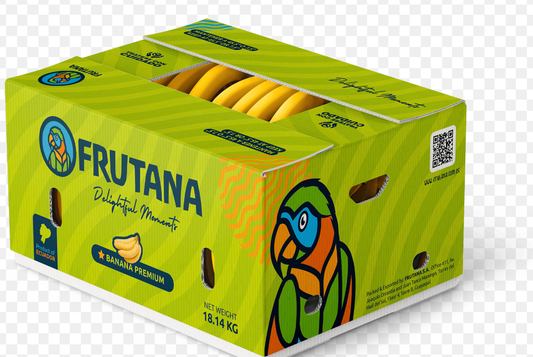 Banana Cavendish 22XU FRUTANA